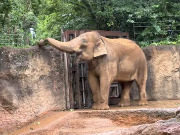恩賜上野動物園に投稿された画像（2026/9/23）