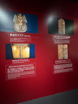MYSTERY OF TUTANKHAMEN 体感型古代エジプト展に投稿された画像（2026/9/23）
