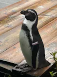 こども動物自然公園（埼玉県公園緑地協会）に投稿された画像（2026/9/23）