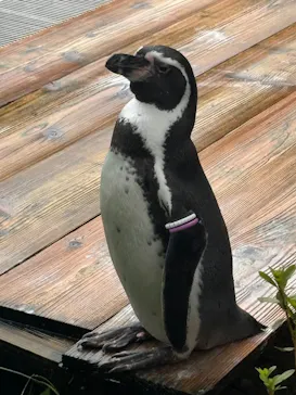 こども動物自然公園（埼玉県公園緑地協会）に投稿された画像（2026/9/23）