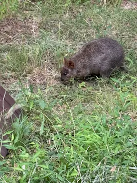 こども動物自然公園（埼玉県公園緑地協会）に投稿された画像（2026/9/23）