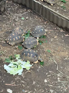 こども動物自然公園（埼玉県公園緑地協会）に投稿された画像（2026/9/23）