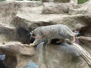 こども動物自然公園（埼玉県公園緑地協会）に投稿された画像（2026/9/23）