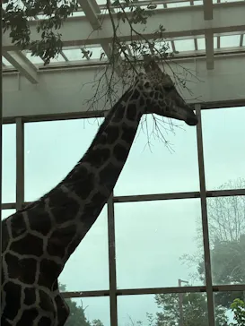 こども動物自然公園（埼玉県公園緑地協会）に投稿された画像（2026/9/23）