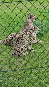 千葉市動物公園に投稿された画像（2026/9/23）