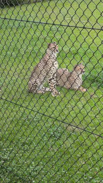 千葉市動物公園に投稿された画像（2026/9/23）