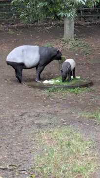 千葉市動物公園に投稿された画像（2026/9/23）