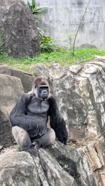 千葉市動物公園に投稿された画像（2026/9/23）