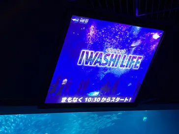 アクアワールド茨城県大洗水族館に投稿された画像（2026/9/23）