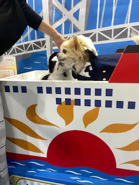 Pet博 大阪会場 Pet Exposition in Osakaに投稿された画像（2026/9/23）