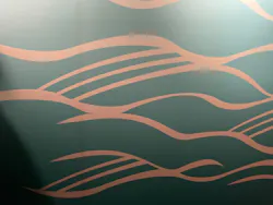 世界淡水魚園水族館　アクア・トトぎふに投稿された画像（2026/9/23）