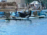 名古屋港水族館に投稿された画像（2026/9/23）