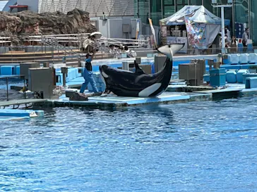 名古屋港水族館に投稿された画像（2026/9/23）