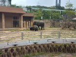 名古屋市東山動植物園に投稿された画像（2026/9/23）