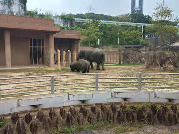 名古屋市東山動植物園に投稿された画像（2026/9/23）