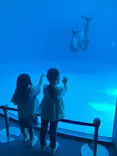 名古屋港水族館に投稿された画像（2026/9/23）