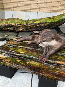 下田海中水族館に投稿された画像（2026/9/23）
