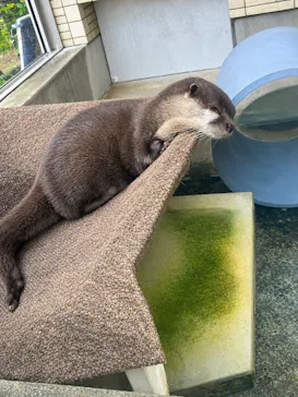 下田海中水族館に投稿された画像（2026/9/23）