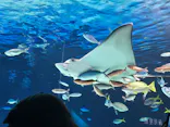 サンシャイン水族館に投稿された画像（2026/9/23）