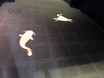 滋賀県立琵琶湖博物館に投稿された画像（2026/9/23）