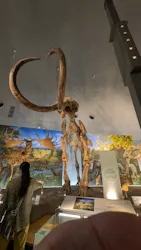 福井県立恐竜博物館に投稿された画像（2026/9/23）