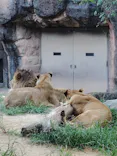 天王寺動物園に投稿された画像（2026/9/23）