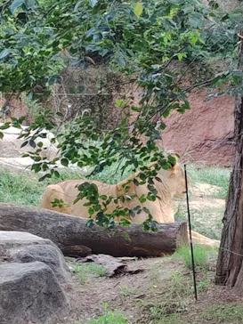 天王寺動物園に投稿された画像（2026/9/23）