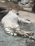 東武動物公園に投稿された画像（2026/9/23）