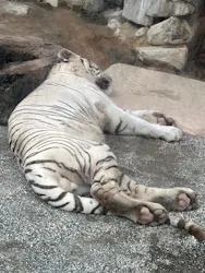 東武動物公園に投稿された画像（2026/9/23）