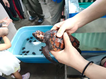 串本海中公園水族館に投稿された画像（2026/9/23）