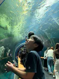 滋賀県立琵琶湖博物館に投稿された画像（2026/9/23）