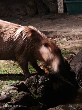 こども動物自然公園（埼玉県公園緑地協会）に投稿された画像（2026/9/23）