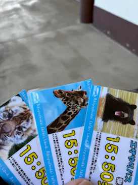 秋吉台自然動物公園 サファリランドに投稿された画像（2026/9/23）