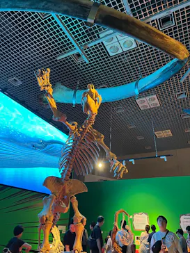特別展「いきもの超ワールド展　国立科学博物館×ダーウィンが来た！」（国立科学博物館）に投稿された画像（2026/9/23）