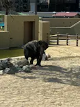 天王寺動物園に投稿された画像（2026/9/23）