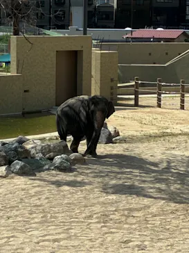 天王寺動物園に投稿された画像（2026/9/23）