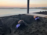 別府海浜砂湯「Sand SPA」に投稿された画像（2026/9/23）