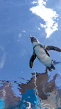 サンシャイン水族館に投稿された画像（2026/9/23）