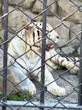 東武動物公園に投稿された画像（2026/9/23）