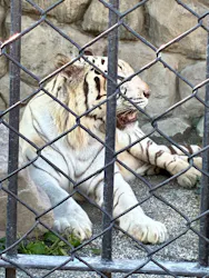東武動物公園に投稿された画像（2026/9/23）