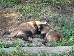 東武動物公園に投稿された画像（2026/9/23）