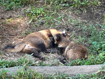 東武動物公園に投稿された画像（2026/9/23）