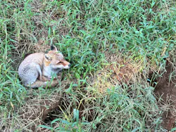 東武動物公園に投稿された画像（2026/9/23）