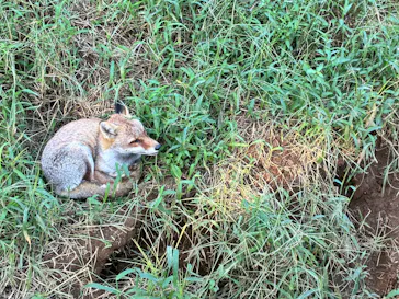 東武動物公園に投稿された画像（2026/9/23）