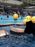 東京サマーランドに投稿された画像（2026/9/23）
