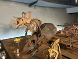 福井県立恐竜博物館に投稿された画像（2026/9/23）