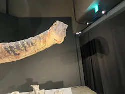 福井県立恐竜博物館に投稿された画像（2026/9/23）