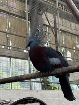 掛川花鳥園に投稿された画像（2026/9/23）