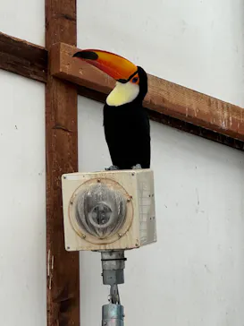 掛川花鳥園に投稿された画像（2026/9/23）