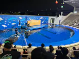 仙台うみの杜水族館に投稿された画像（2026/9/23）
